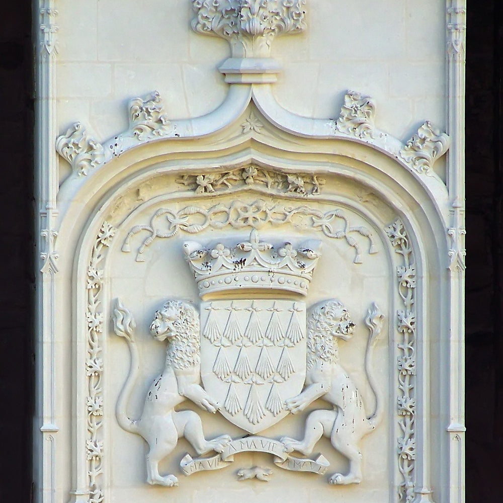 
                      
                        Macklowe Gallery René Lalique Plique-à-jour Enamel and Natural Pearl Breton Lion and Seaweed Pendant Brooch
                      
                    