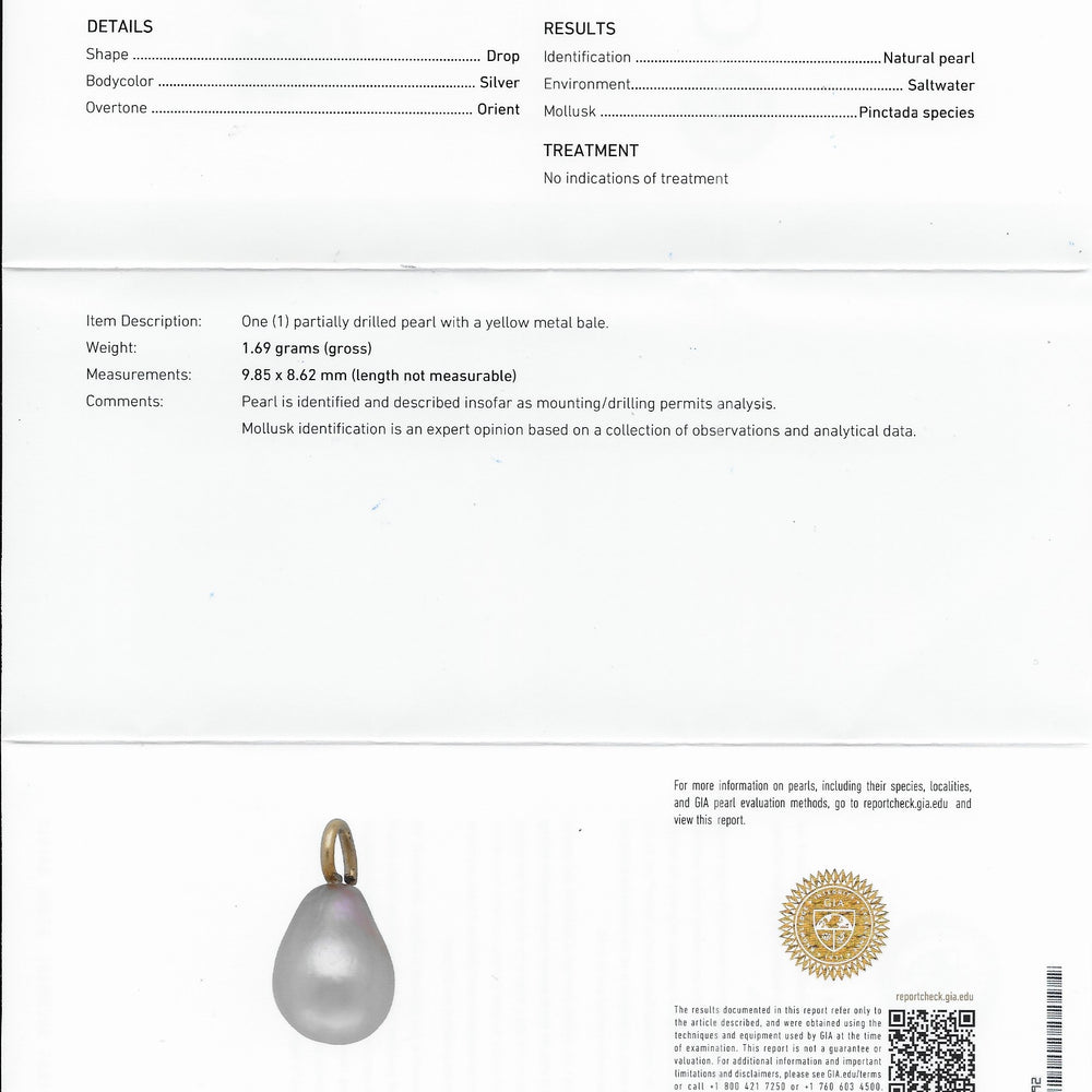 
                      
                        Macklowe Gallery René Lalique Plique-à-jour Enamel and Natural Pearl Breton Lion and Seaweed Pendant Brooch
                      
                    